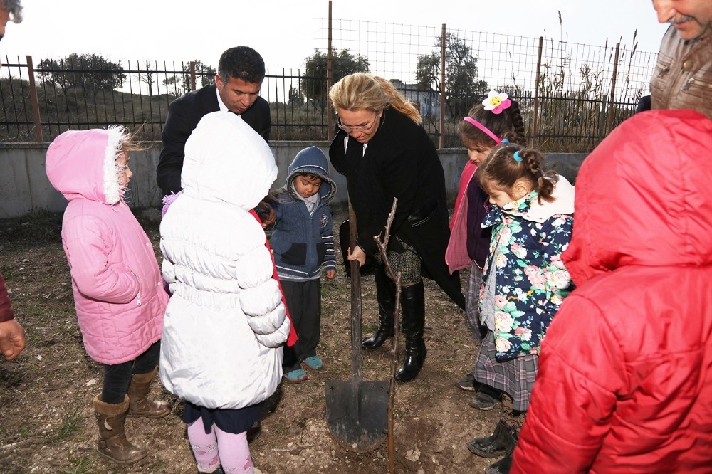 zmir Urla Yerel_Haberler - retmen Aye Akta ansna aa dikildi
