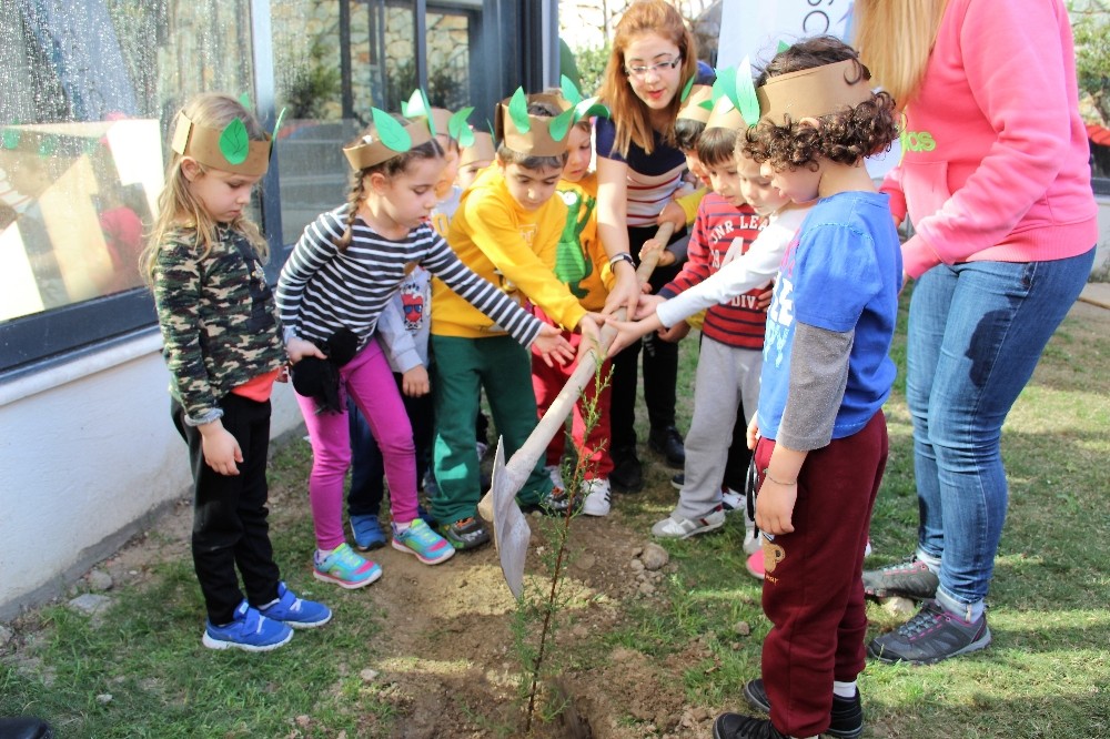 Mula Bodrum Yerel_Haberler - Minik eller fidan dikti
