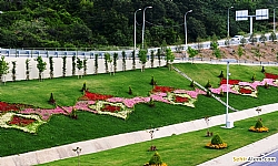 Bozkurt Cumhuriyet Park